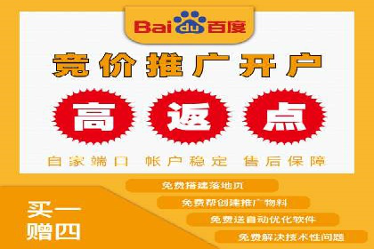 百度竞价广告案例分析：成功之道揭秘